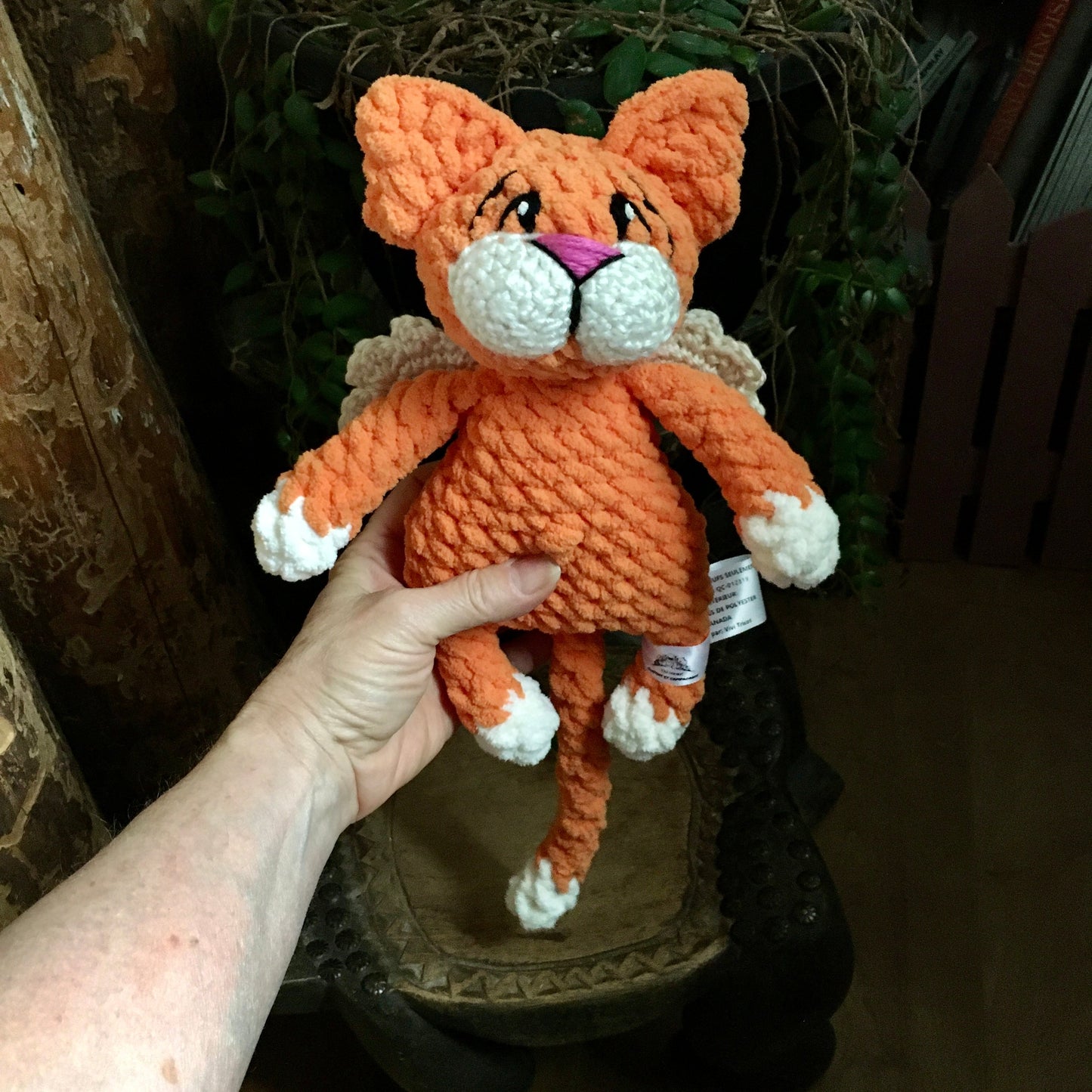 Commande Julie Falardeau - Chat’ange orange
