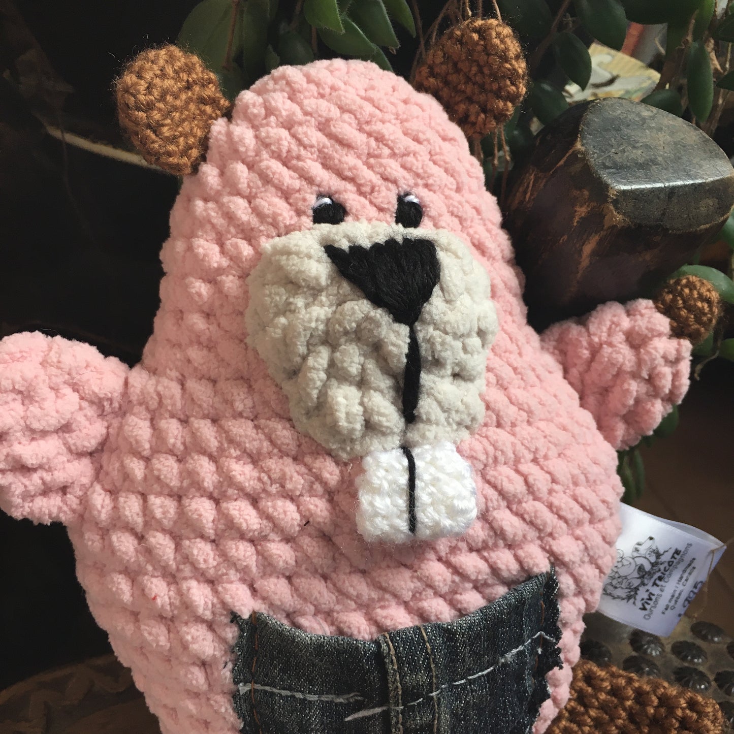 TIMÉO The Baby Beaver. The Fairy Fairy Friend