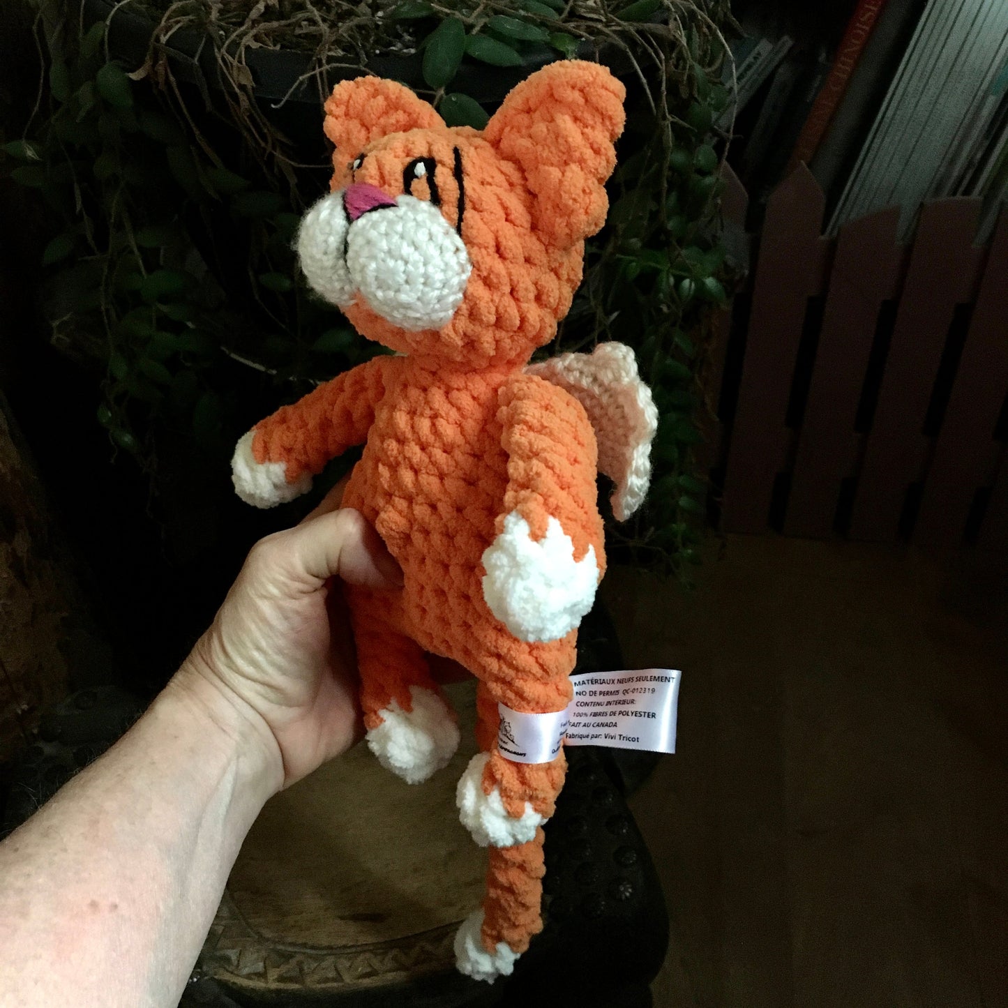 Commande Julie Falardeau - Chat’ange orange
