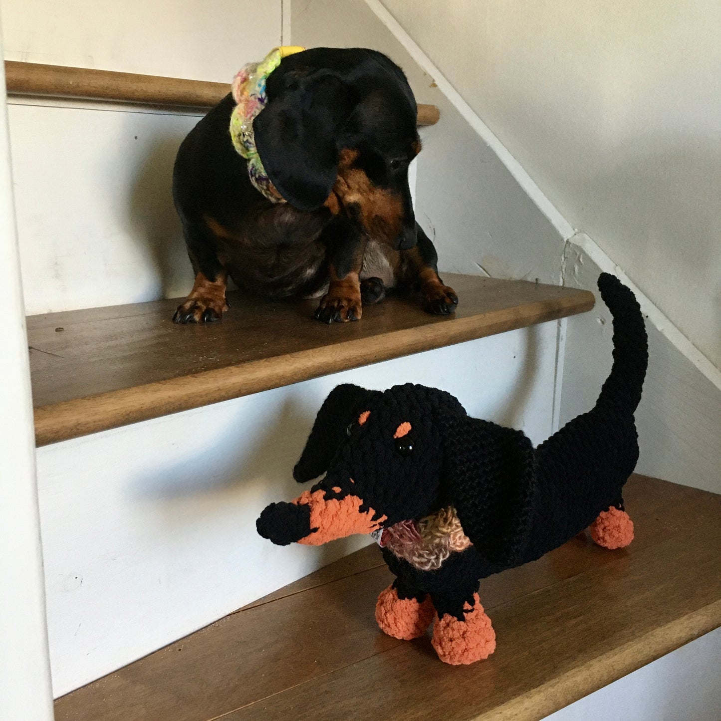 BONNIE TOUTOU, peluche teckel ultra longue