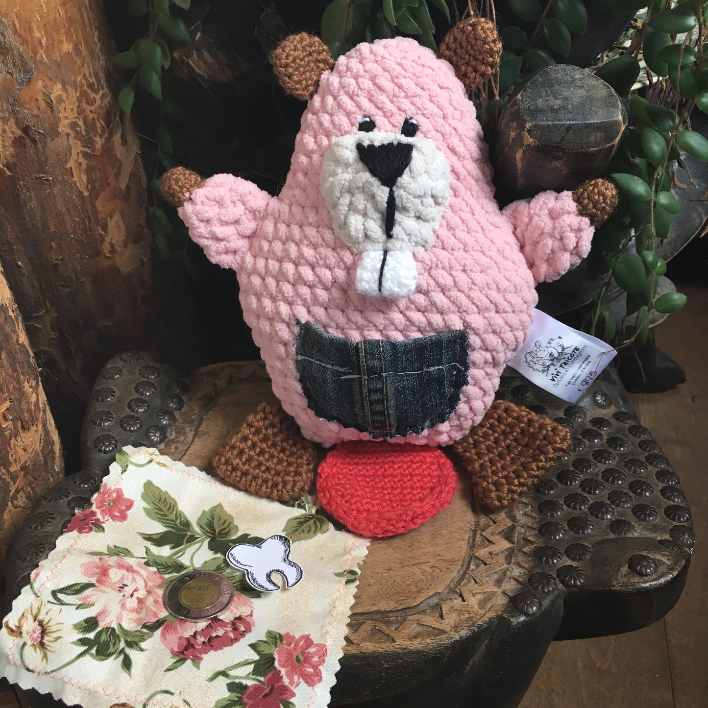TIMÉO The Baby Beaver. The Fairy Fairy Friend