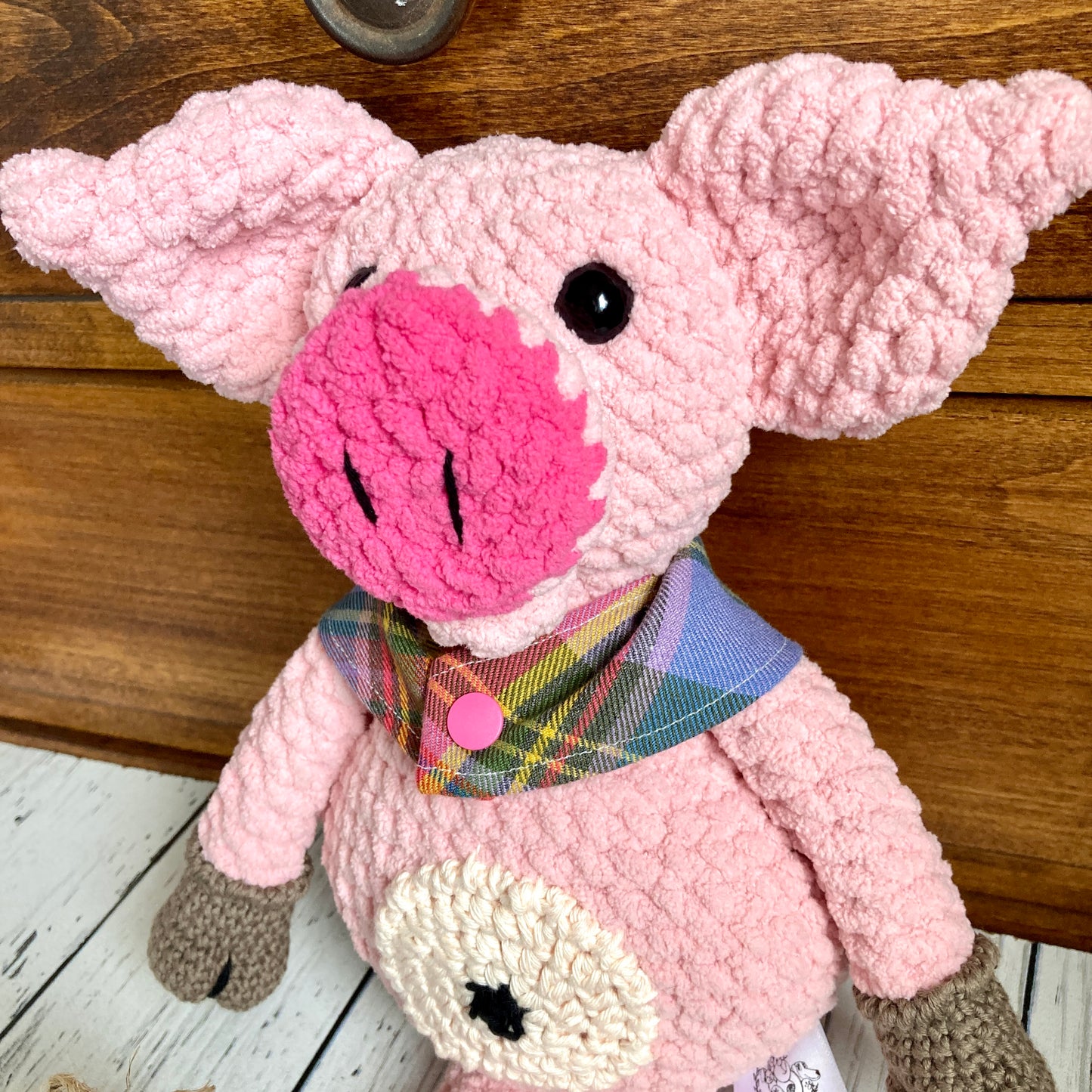 COOKIE the little pink pig