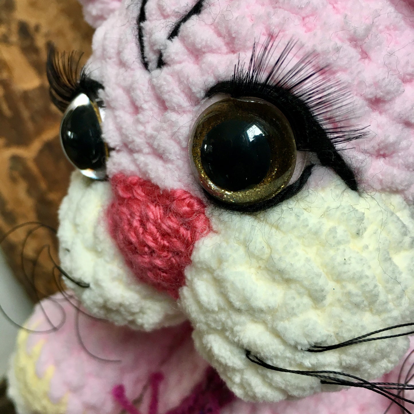 ROSETTE LE CHATON aux yeux charmeurs