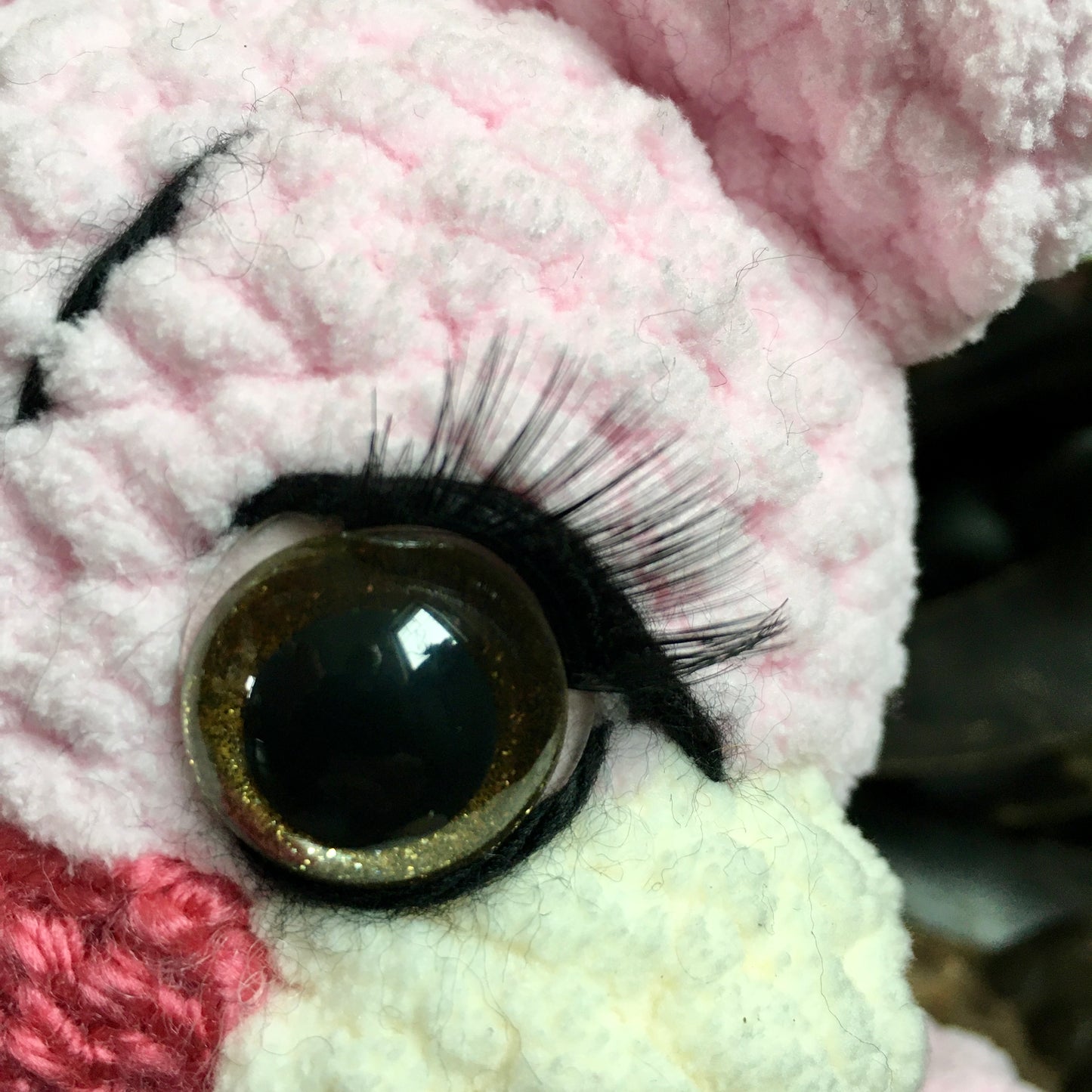 ROSETTE LE CHATON aux yeux charmeurs