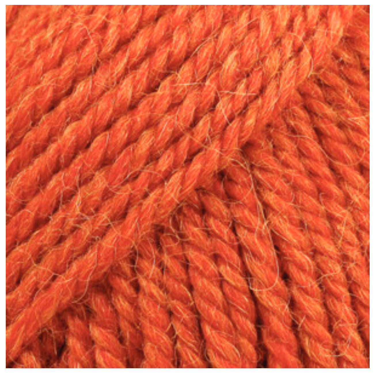 BUTTON COLLAR 100% chemically untreated wool