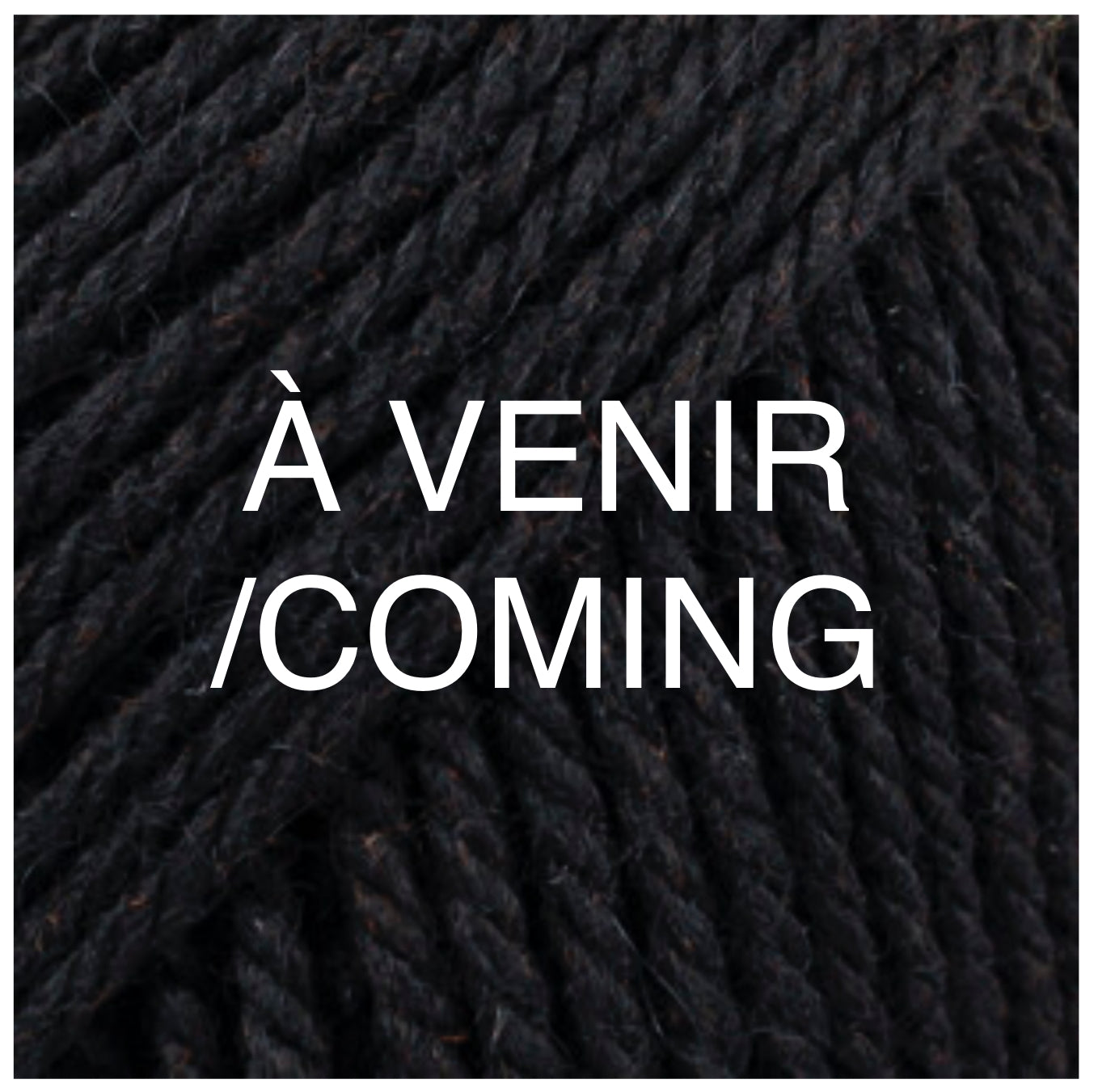 BUTTON COLLAR 100% chemically untreated wool