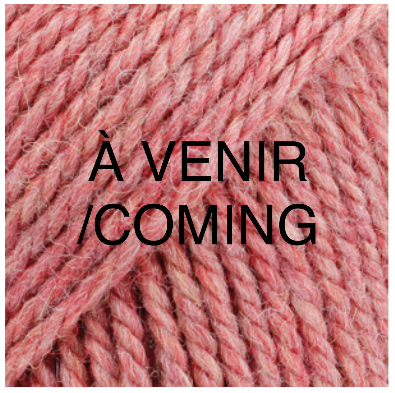 BUTTON COLLAR 100% chemically untreated wool