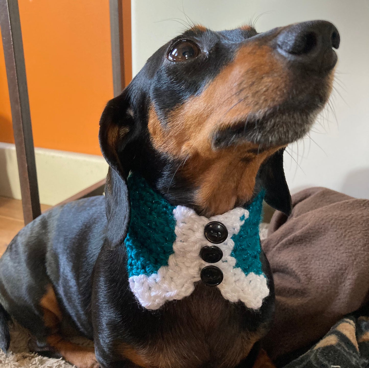 Pre-order - The “CHIC and SWELL” COLLAR - For Christmas