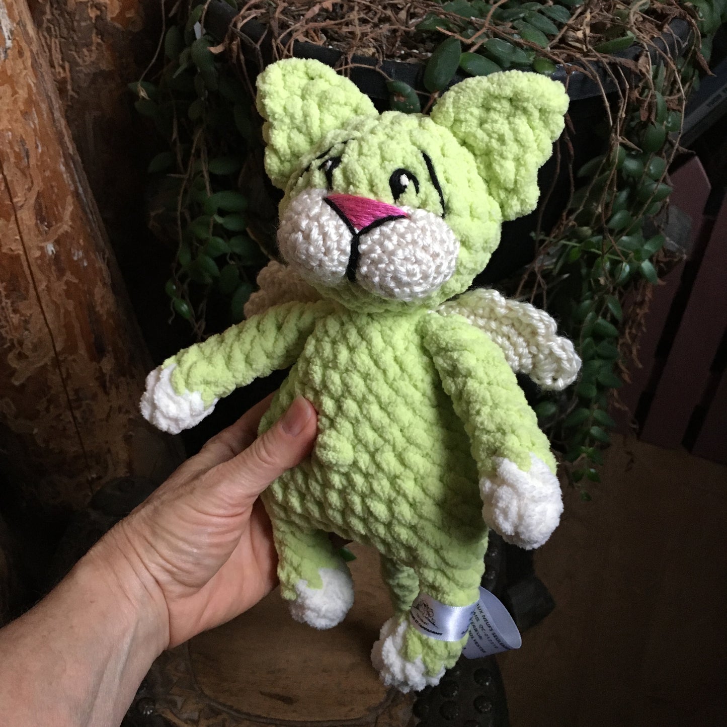 Le CHAT’ANGE vert lime et vanille