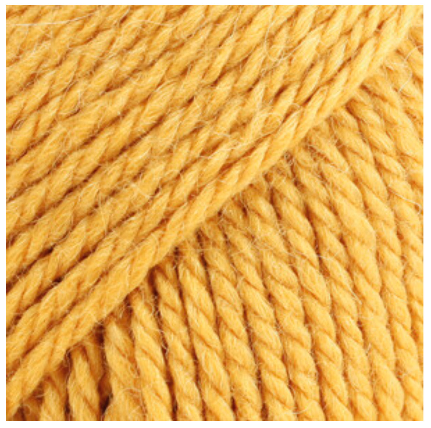 BUTTON COLLAR 100% chemically untreated wool