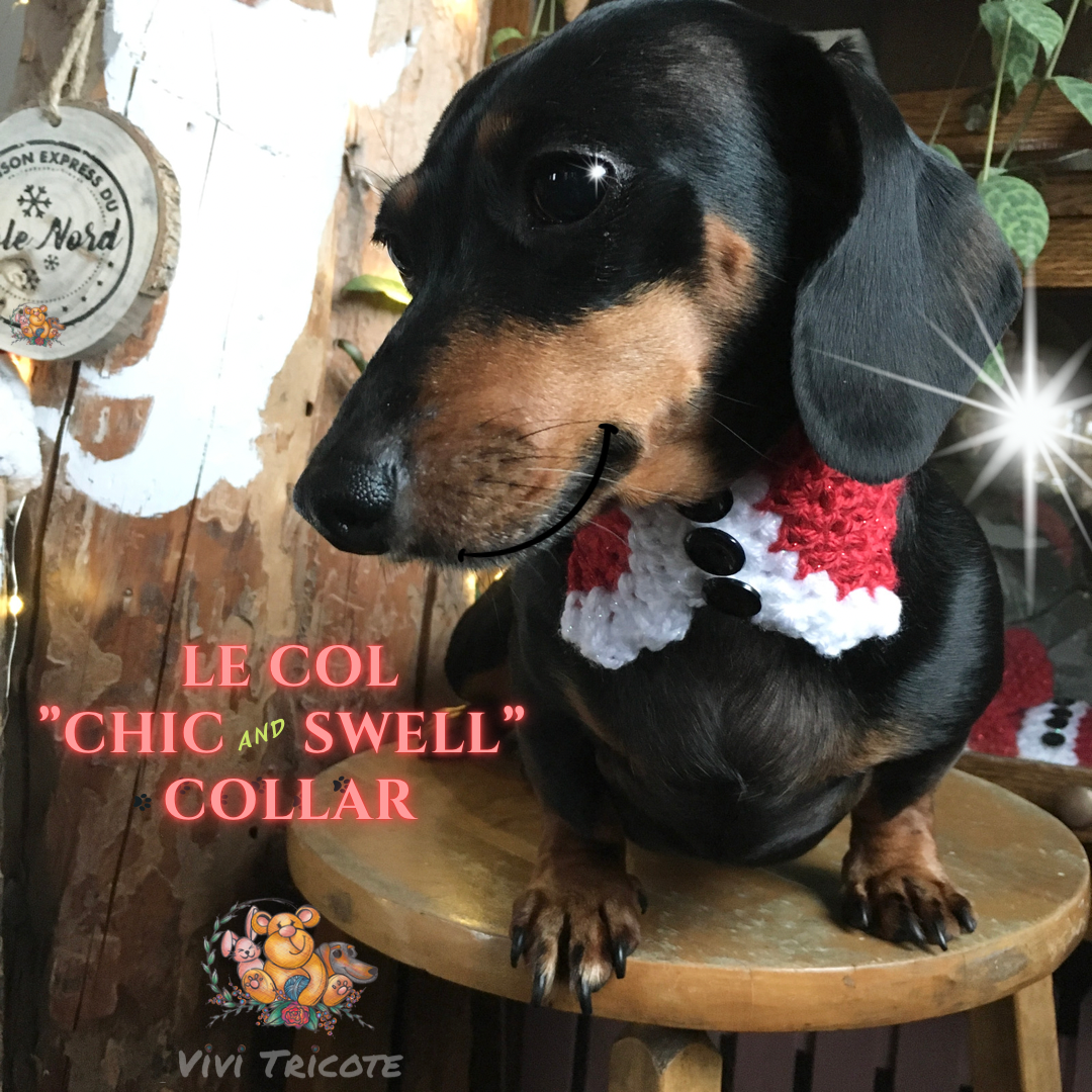 Pre-order - The “CHIC and SWELL” COLLAR - For Christmas