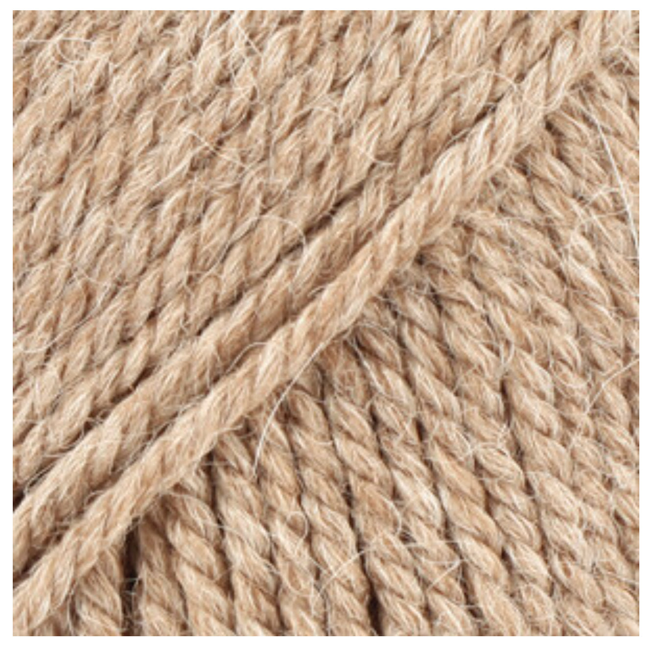 BUTTON COLLAR 100% chemically untreated wool
