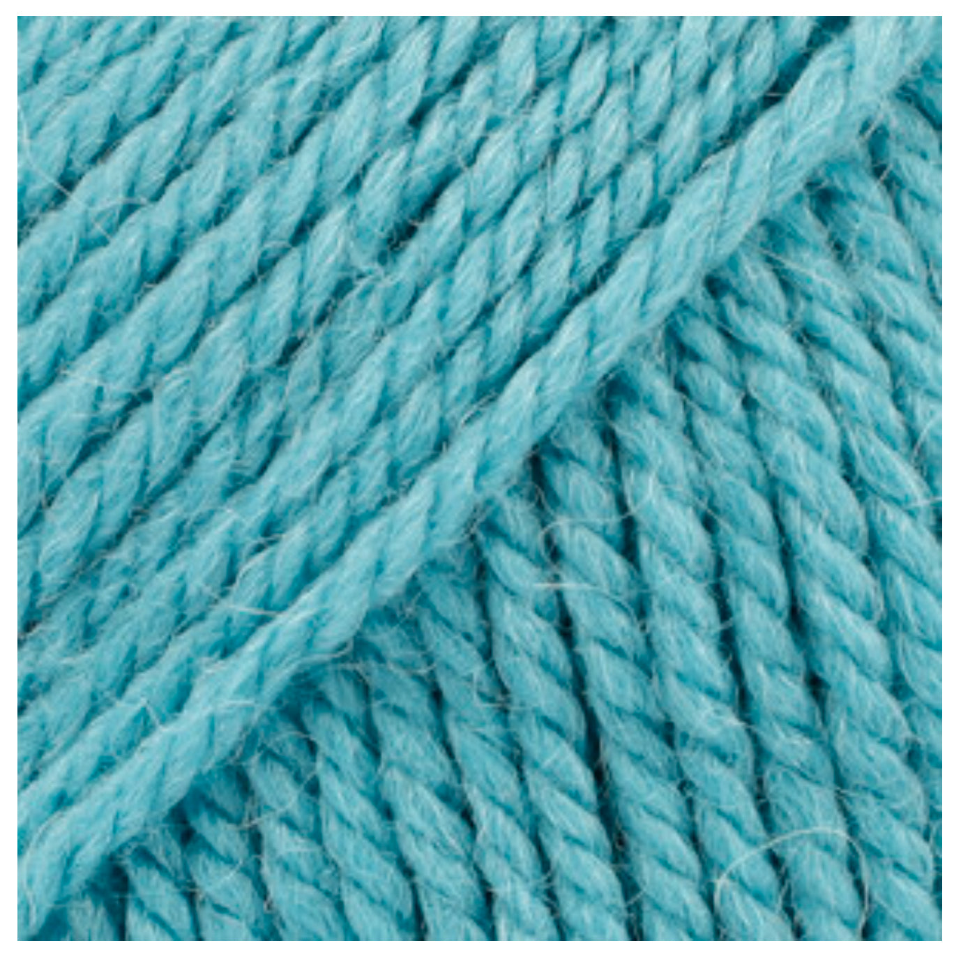 BUTTON COLLAR 100% chemically untreated wool