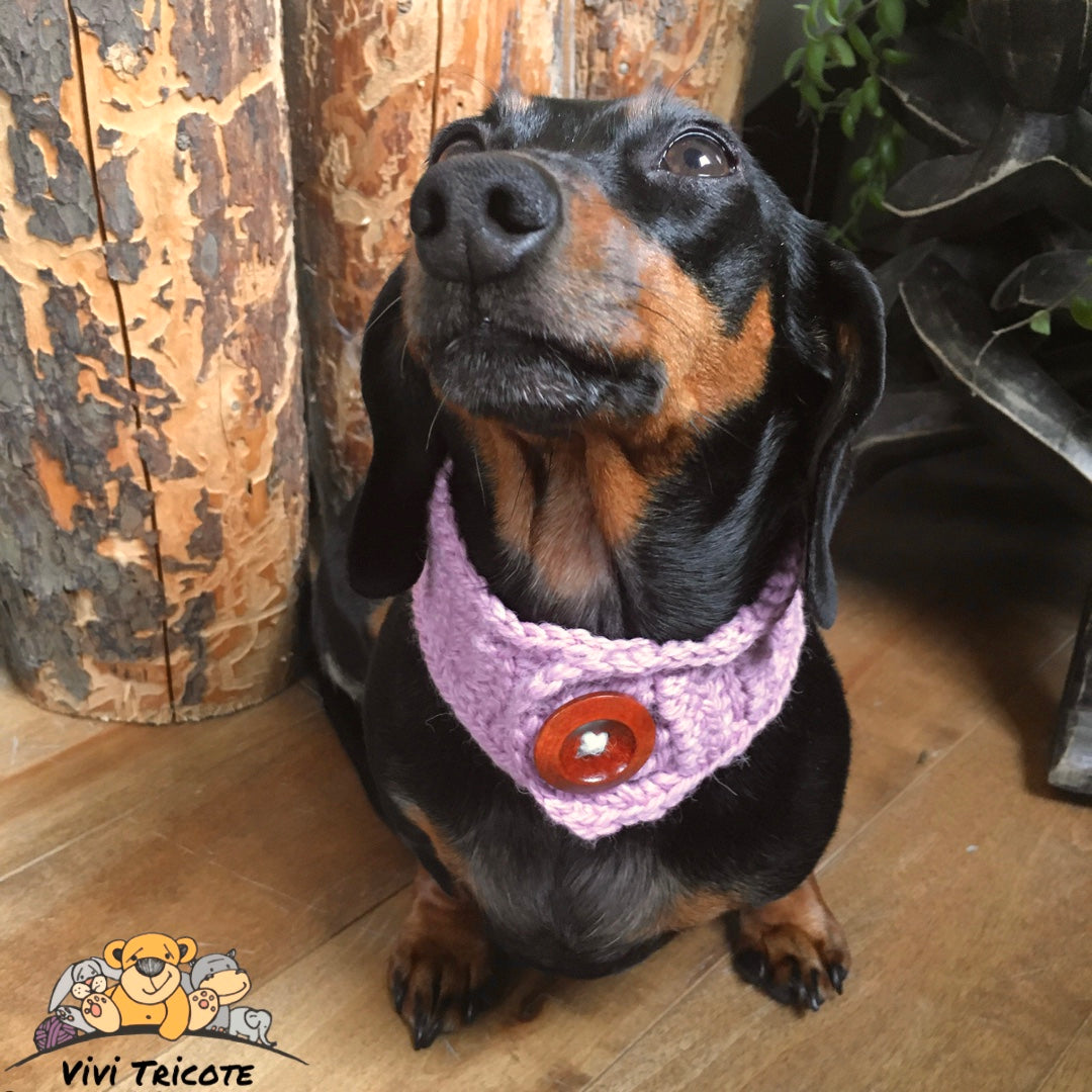 BUTTON COLLAR 100% chemically untreated wool