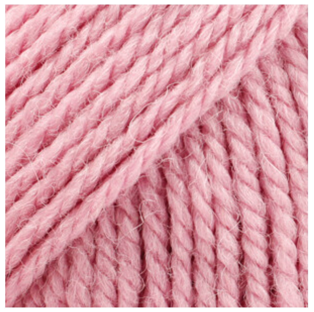 BUTTON COLLAR 100% chemically untreated wool