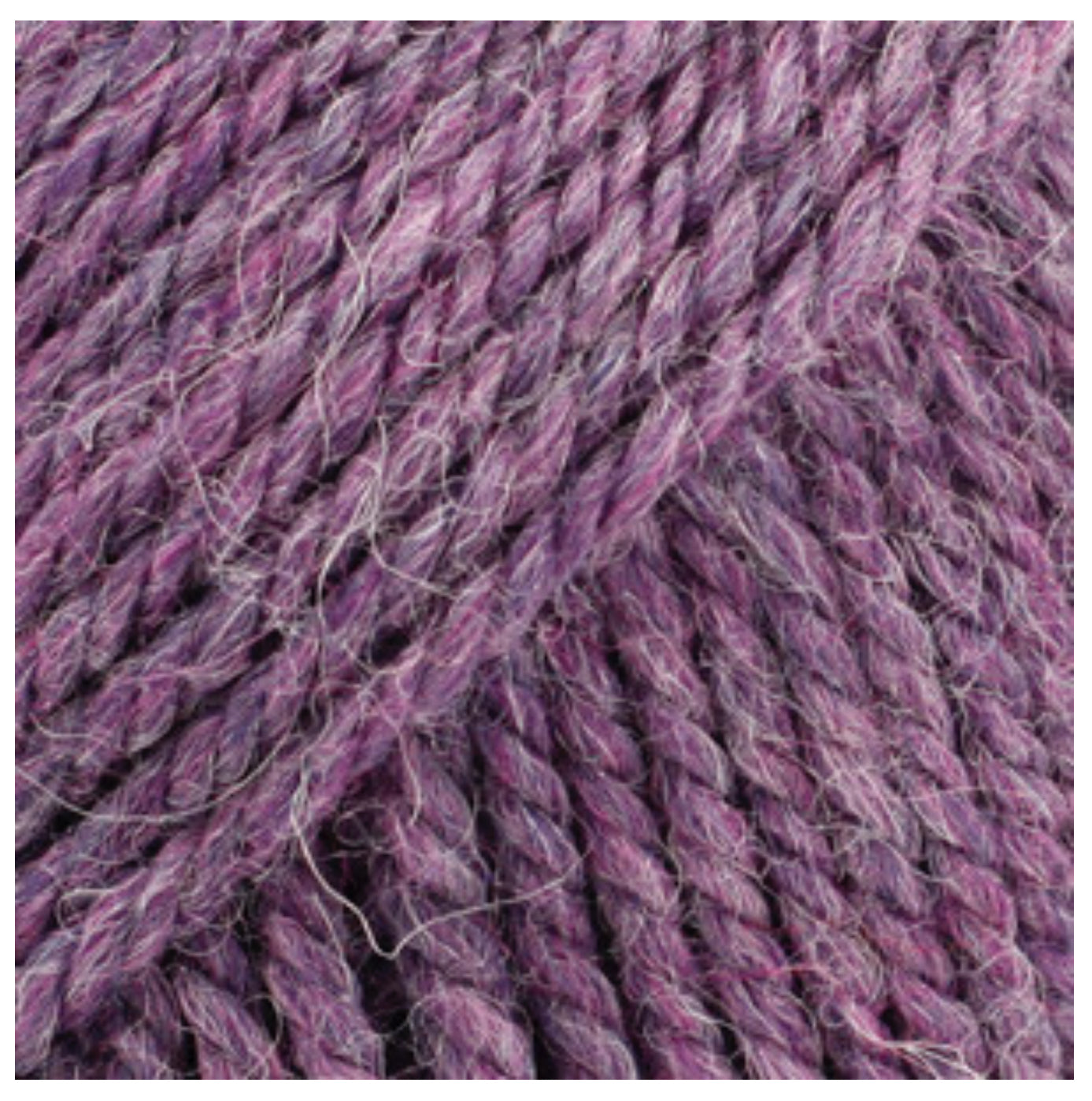 BUTTON COLLAR 100% chemically untreated wool