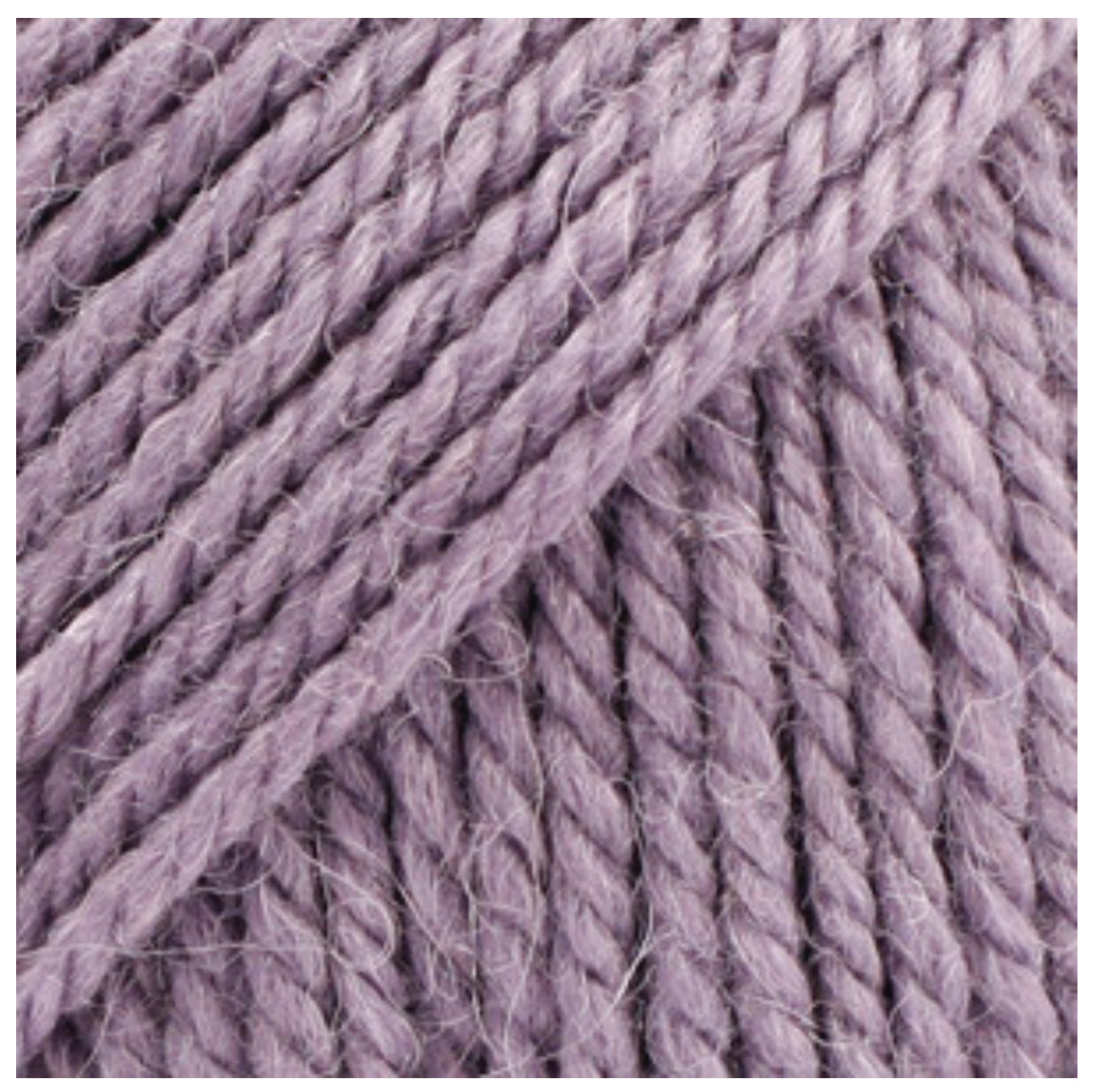 BUTTON COLLAR 100% chemically untreated wool