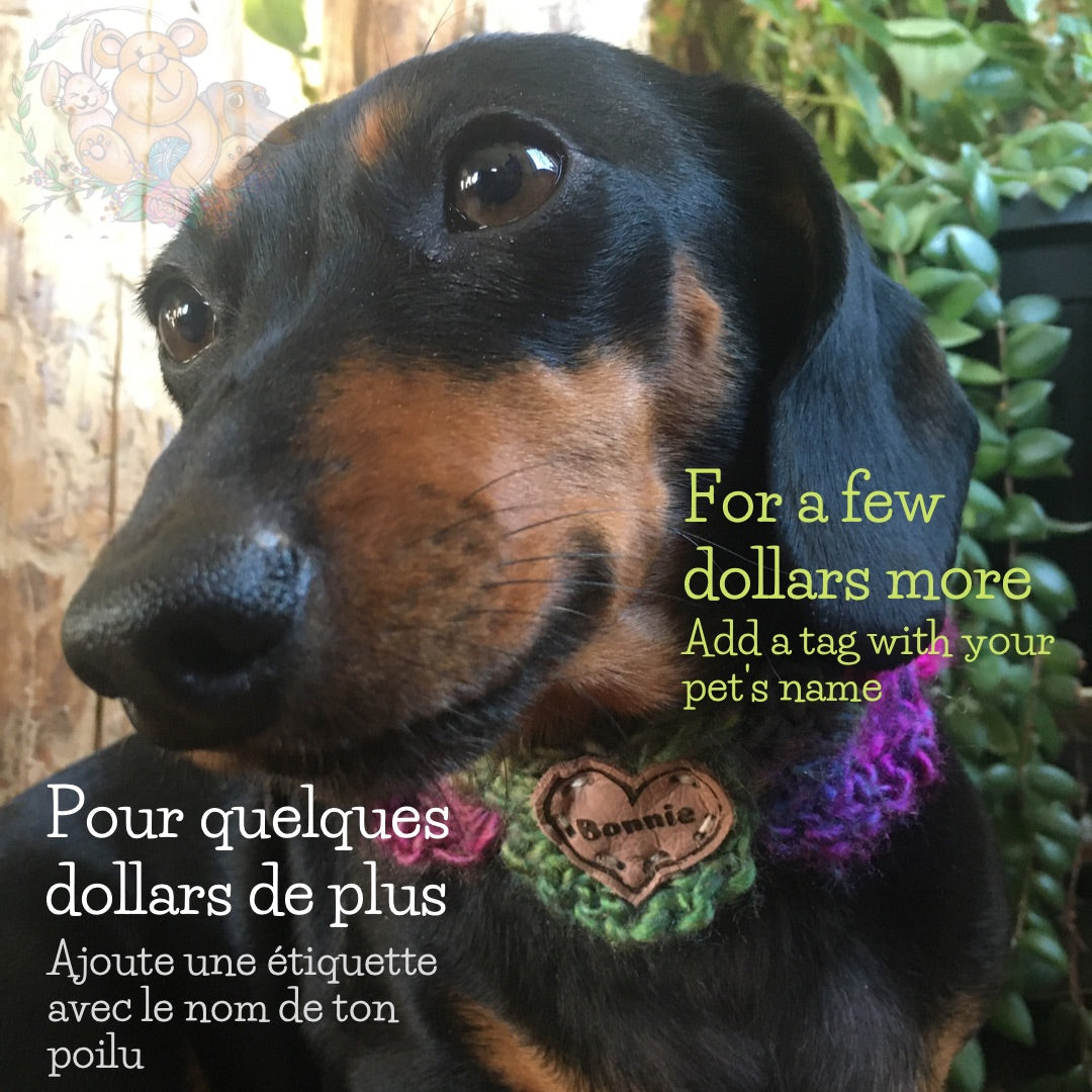 BUTTON COLLAR 100% chemically untreated wool