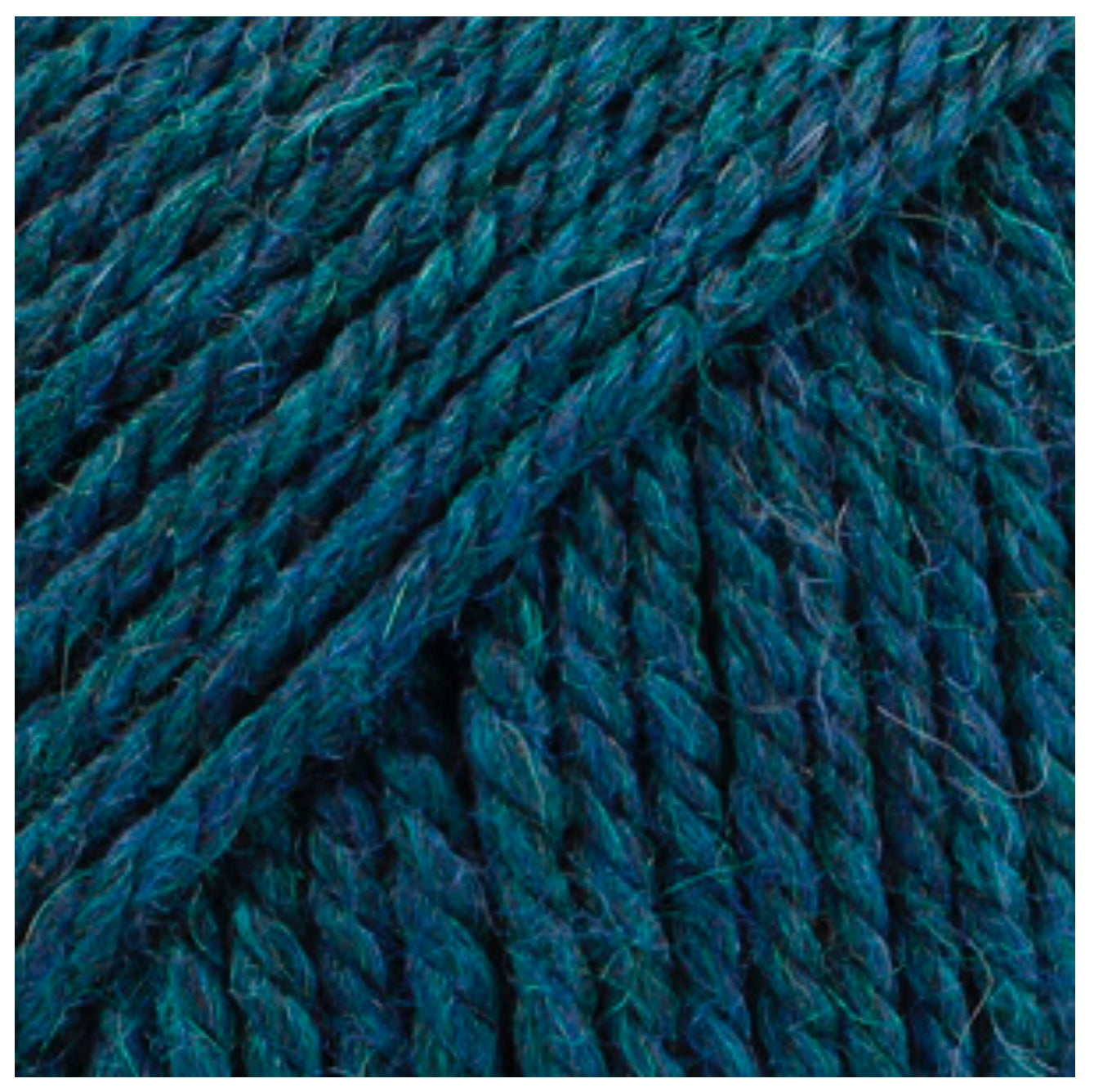 BUTTON COLLAR 100% chemically untreated wool