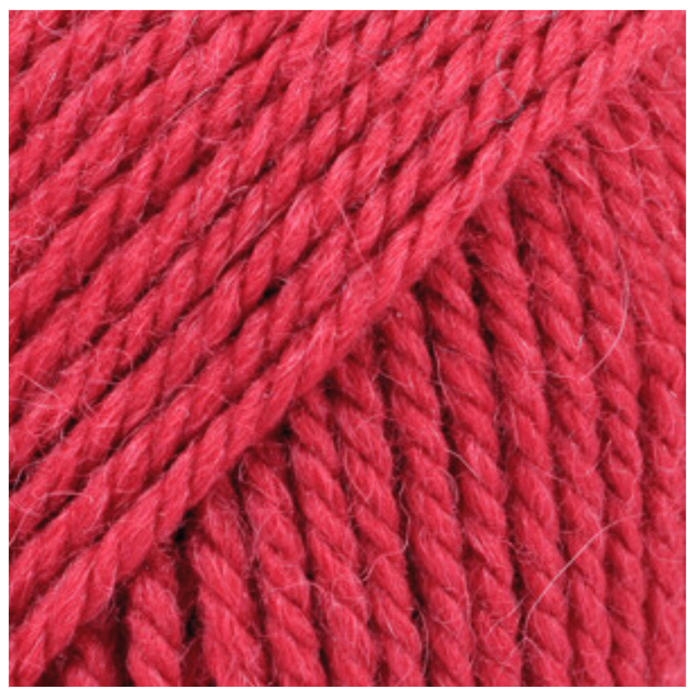 BUTTON COLLAR 100% chemically untreated wool