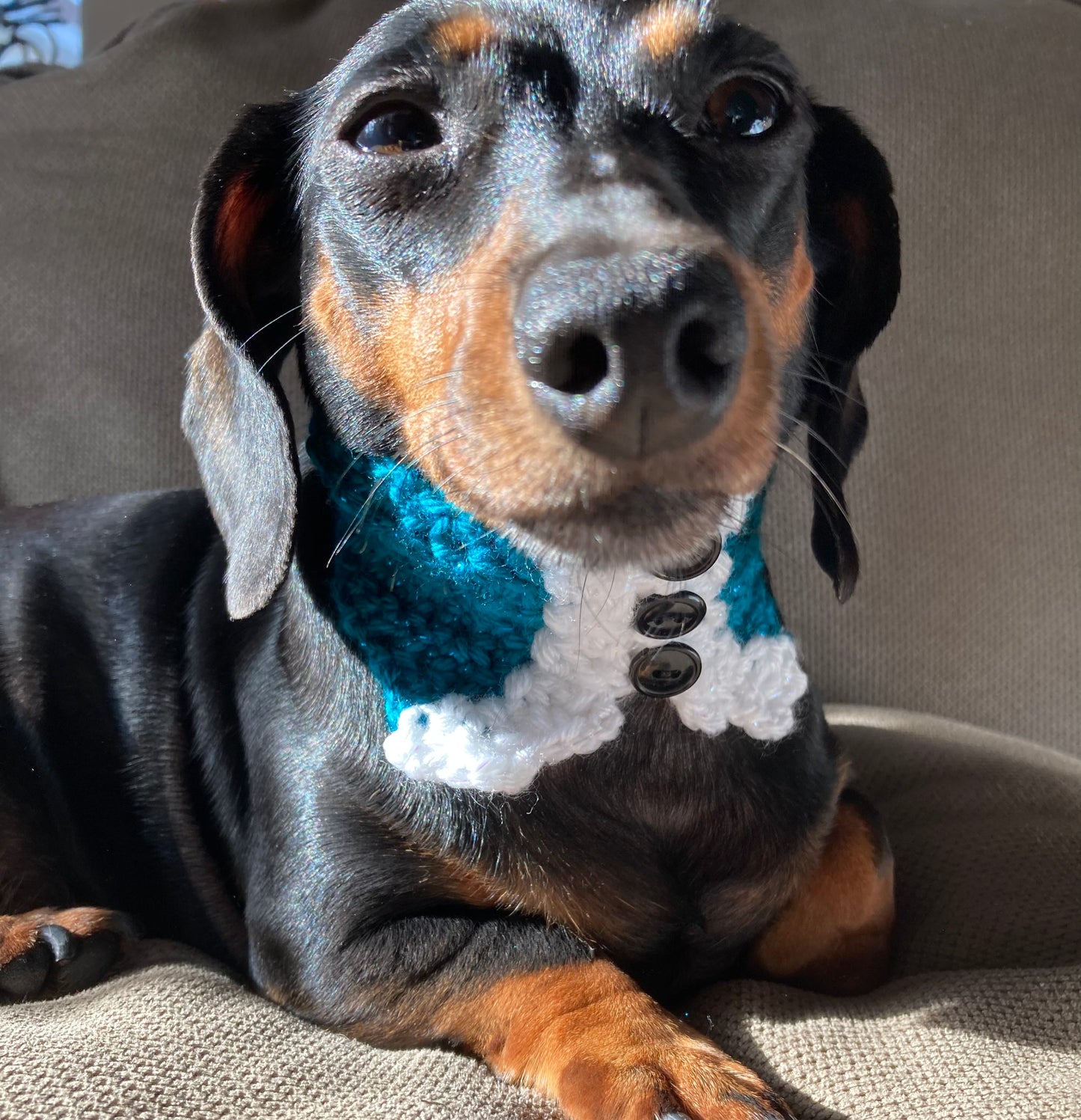 Pre-order - The “CHIC and SWELL” COLLAR - For Christmas