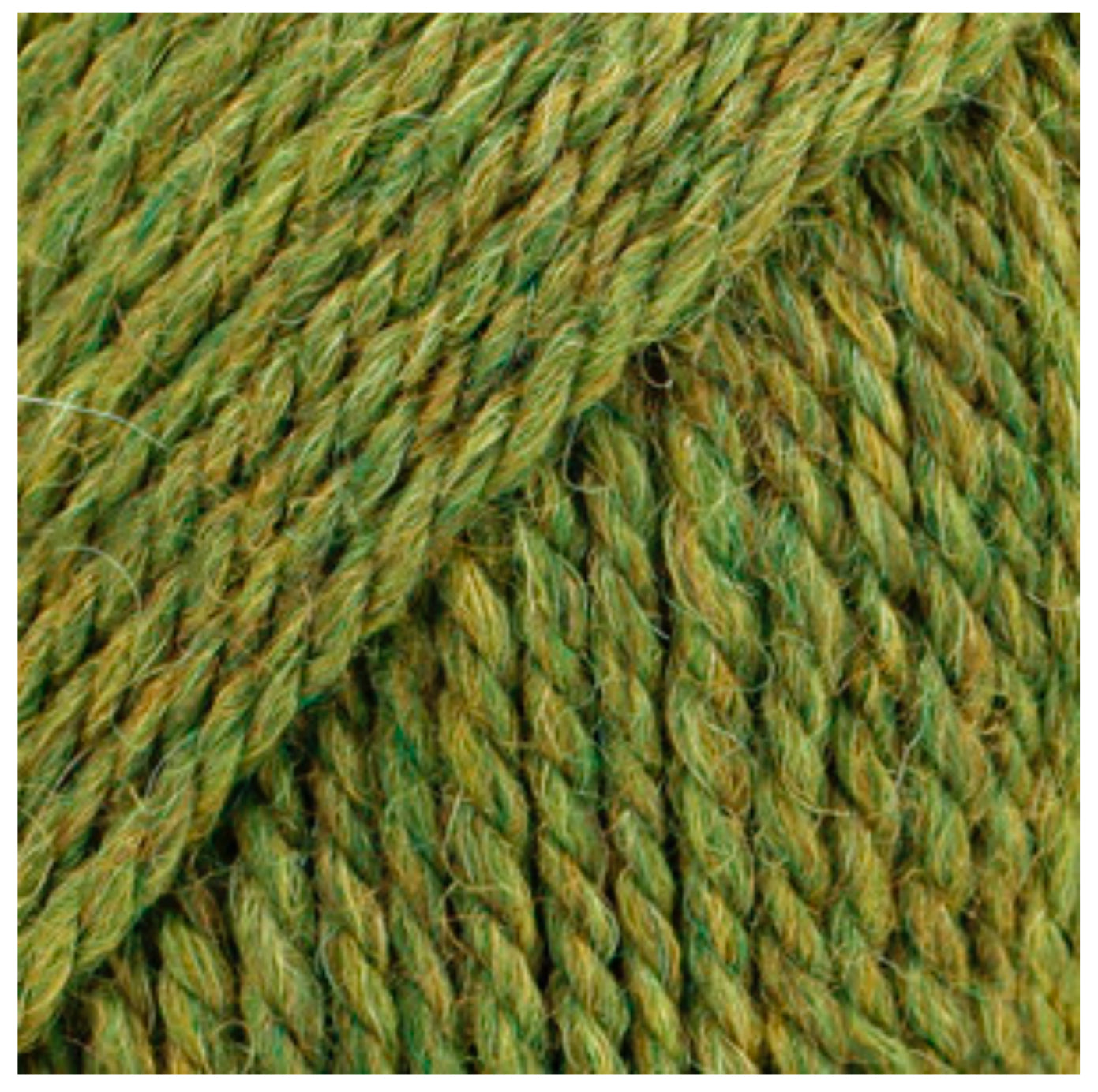 BUTTON COLLAR 100% chemically untreated wool