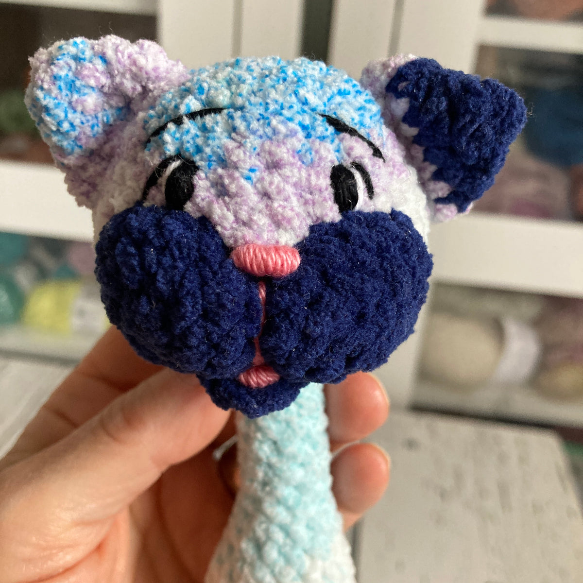 BONO the blue MIX kitten - RATTLE (1171)