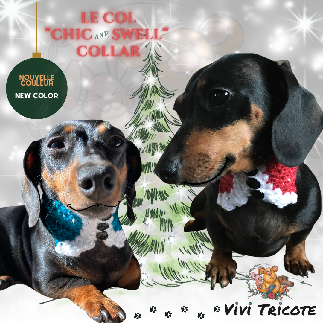 Pre-order - The “CHIC and SWELL” COLLAR - For Christmas