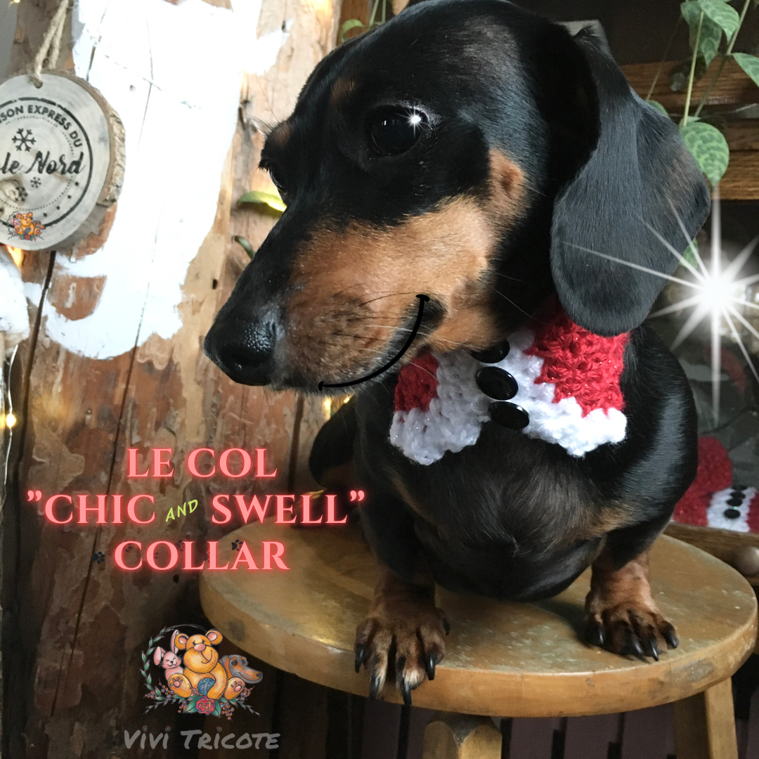 Le Col “CHIC and SWELL” - Pour Noël